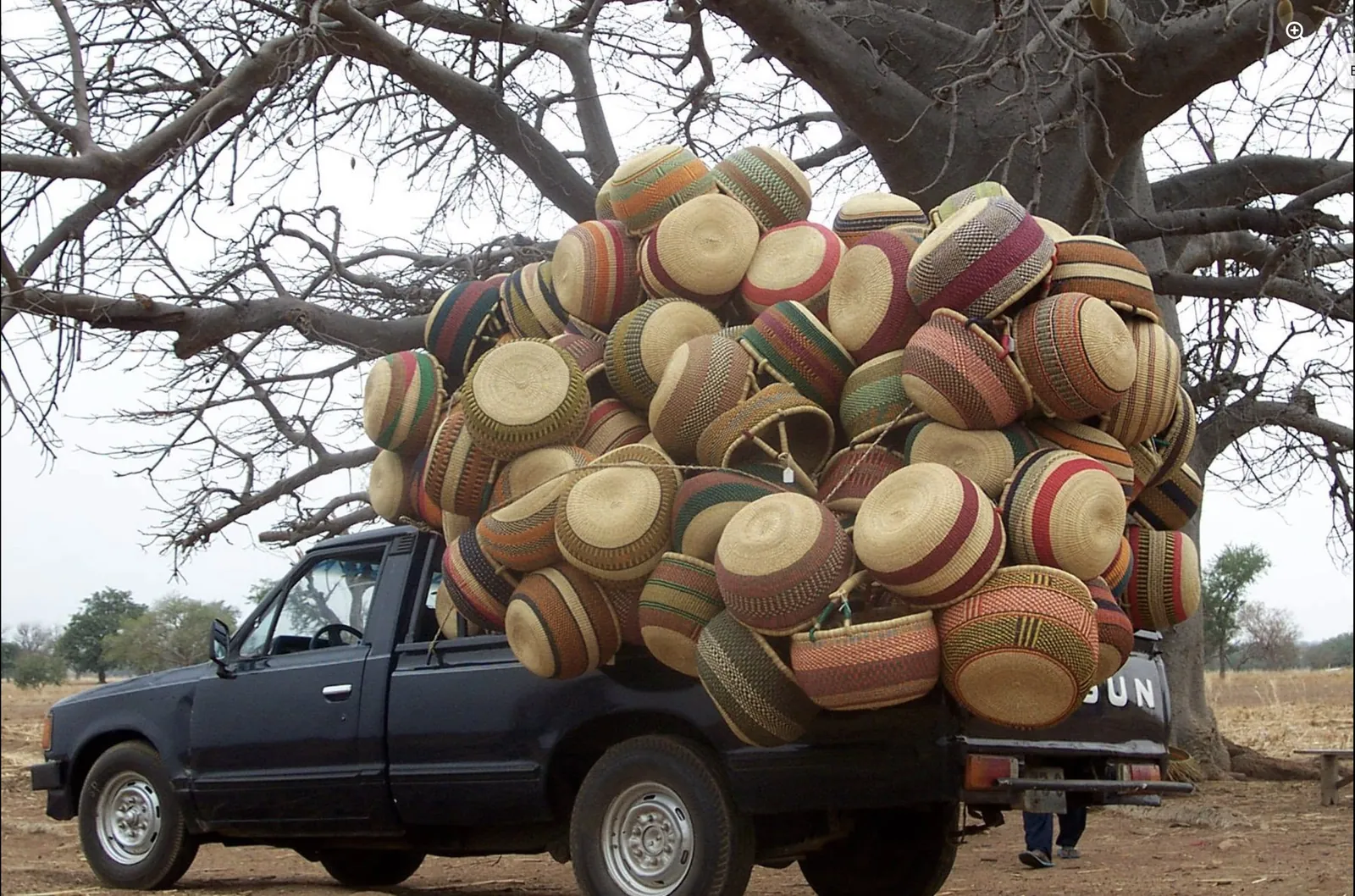 A truck loaded high with round woven baskets beneath a tree.